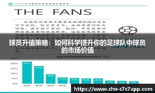 c7娱乐